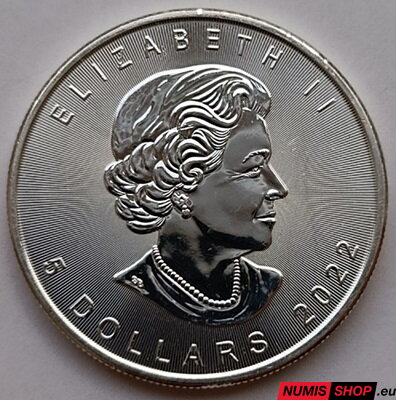 Kanada - 5 dollars - 1 oz Ag Maple Leaf - 2022