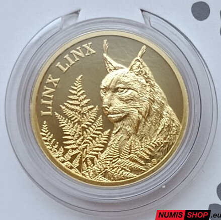 Niue - 250 dollars - 2017 - 1 oz Au - Rys