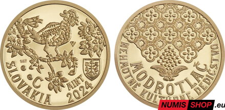 Nezrealizované motívy - 100 eur 2024 - Modrotlač