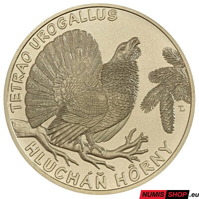 5 eur Slovensko 2024 - Hlucháň hôrny - autorská karta