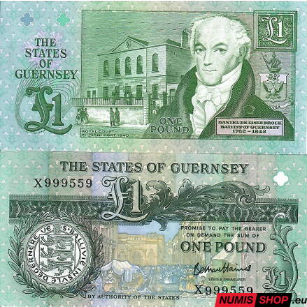 Guernsey - 1 pound - 1991 - prexif X - UNC