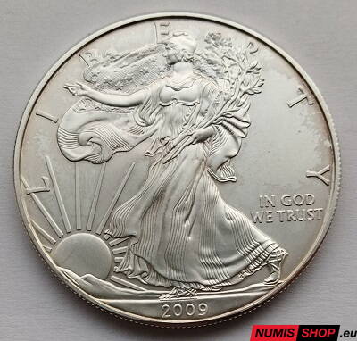 USA - 1 oz American Silver Eagle - 2009 - investičné striebro